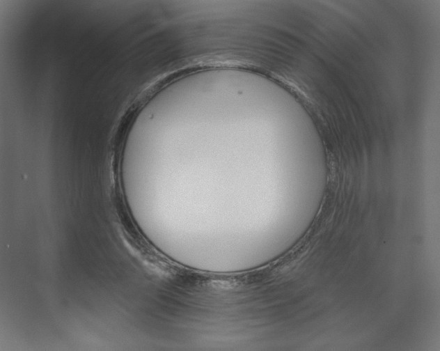 X0000073950302200608210949