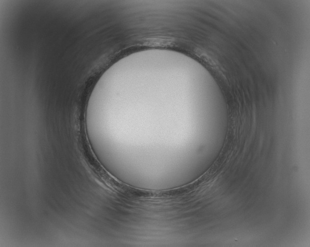 X0000073950303200608210949