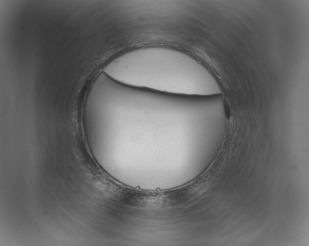 X0000073950306200608210949