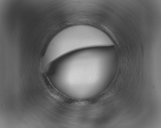 X0000073950307200608210949