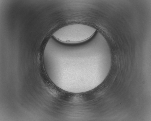 X0000073950308200608210949