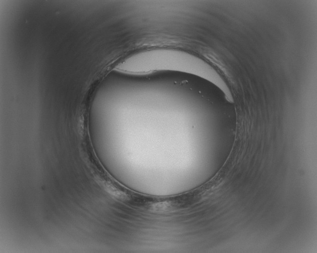 X0000073950309200608210949