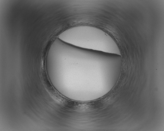 X0000073950310200608210949