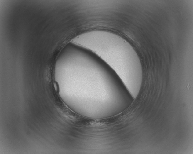 X0000073950311200608210949
