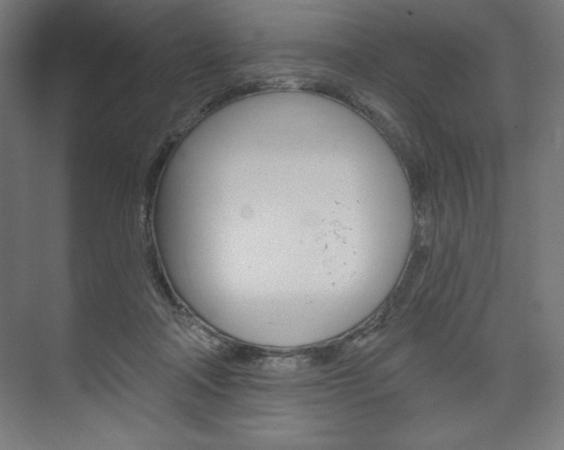 X0000073950314200608210949