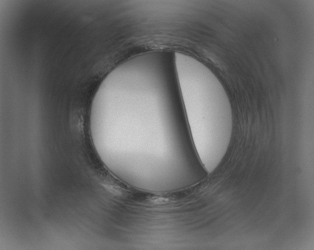 X0000073950315200608210949