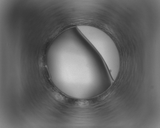 X0000073950317200608210949