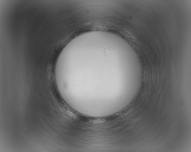 X0000073950318200608210949