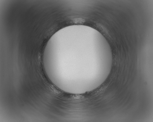 X0000073950321200608210949