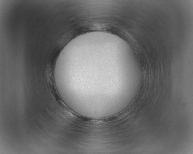 X0000073950322200608210949