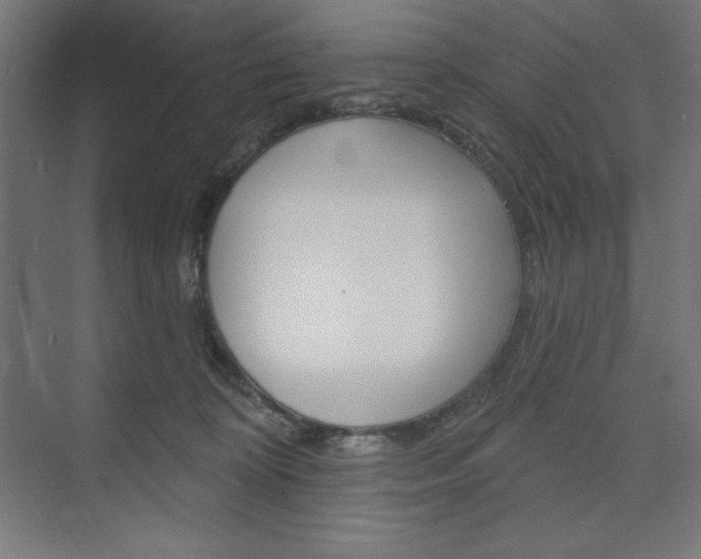 X0000073950324200608210949