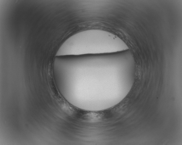 X0000073950326200608210949