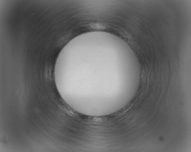 X0000073950330200608210949