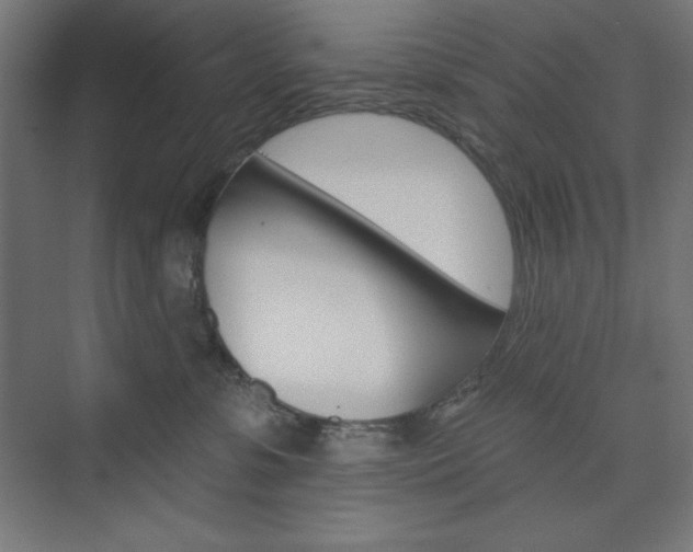 X0000073950331200608210949
