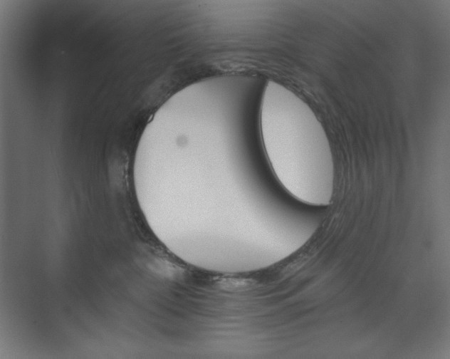X0000073950332200608210949