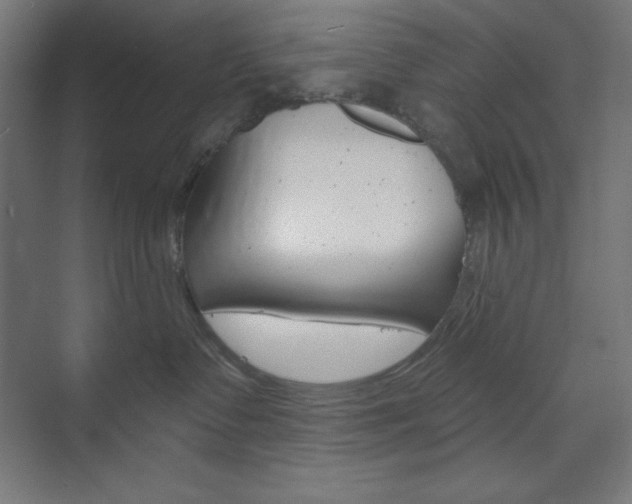 X0000073950335200608210949