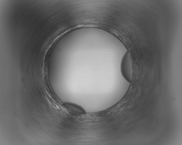 X0000073950338200608210948