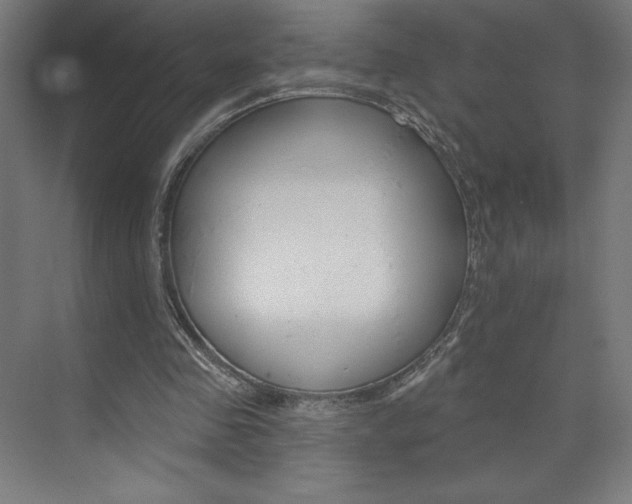 X0000073950341200608210948