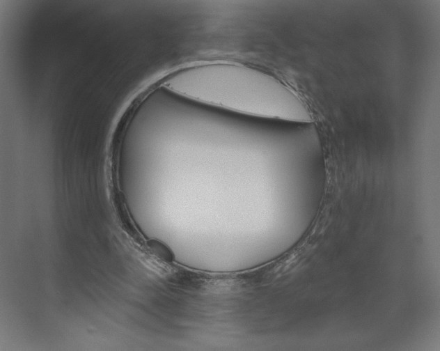 X0000073950342200608210948
