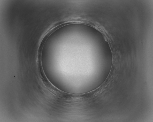 X0000073950344200608210948