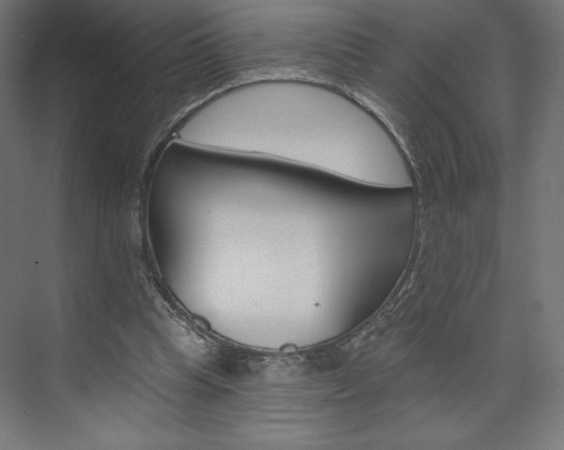 X0000073950345200608210948