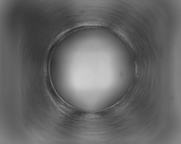X0000073950348200608210948
