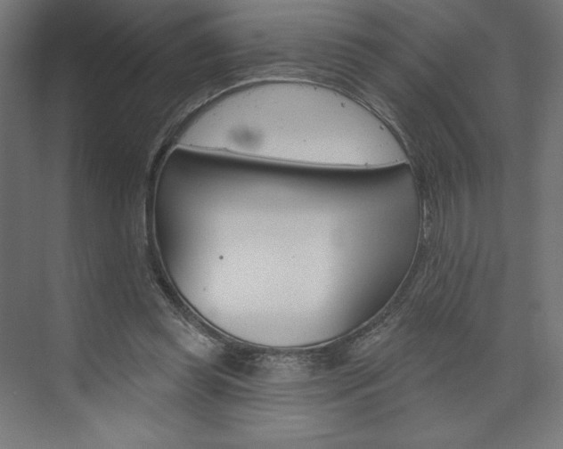 X0000073950349200608210948
