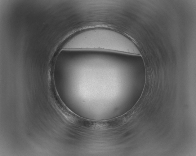X0000073950350200608210948