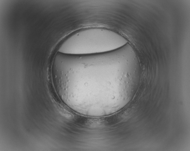 X0000073950351200608210948