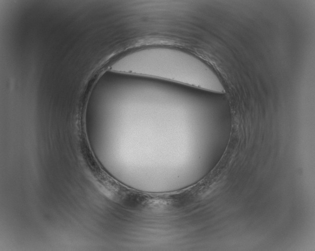X0000073950352200608210948