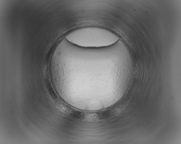 X0000073950355200608210948
