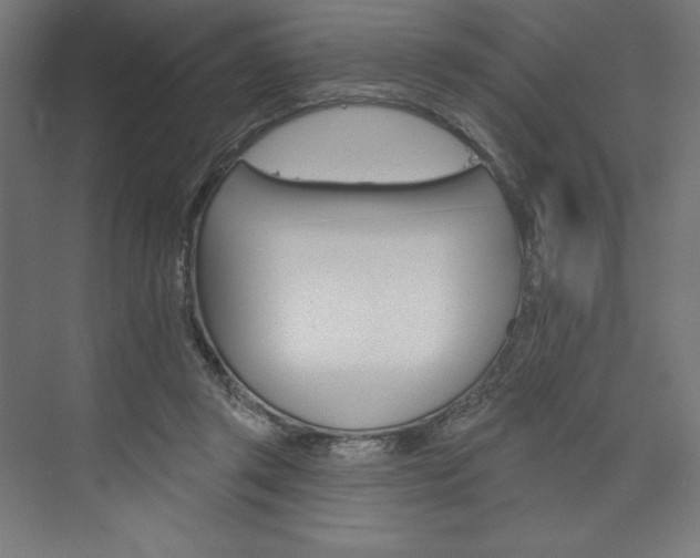 X0000073950357200608210948