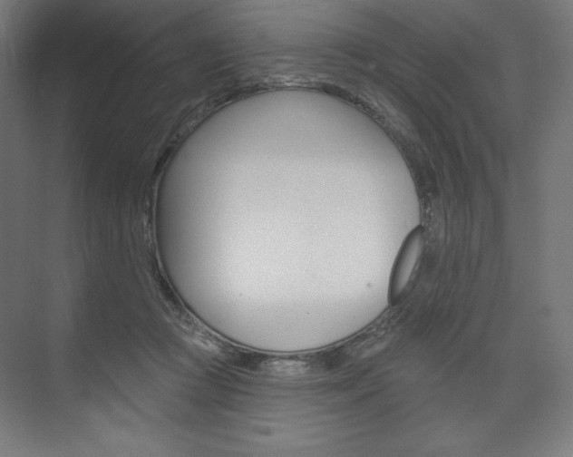 X0000073950361200608210948
