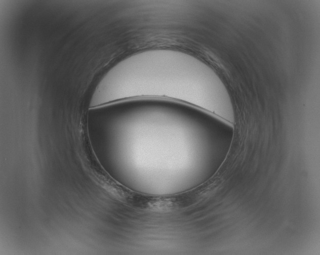 X0000073950362200608210948