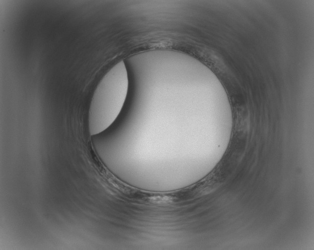 X0000073950363200608210948