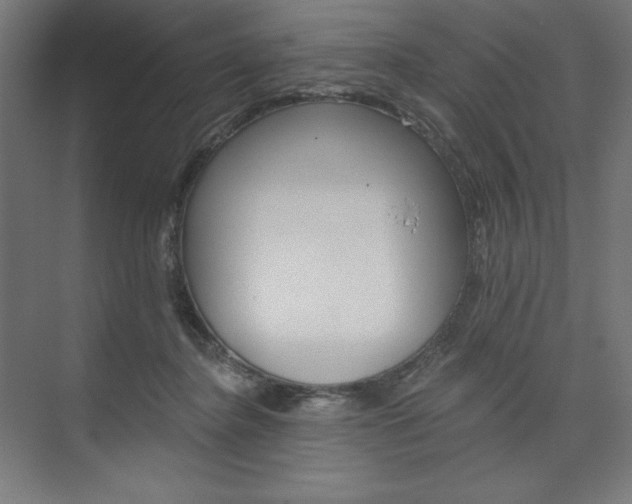 X0000073950364200608210948
