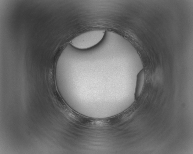 X0000073950365200608210948