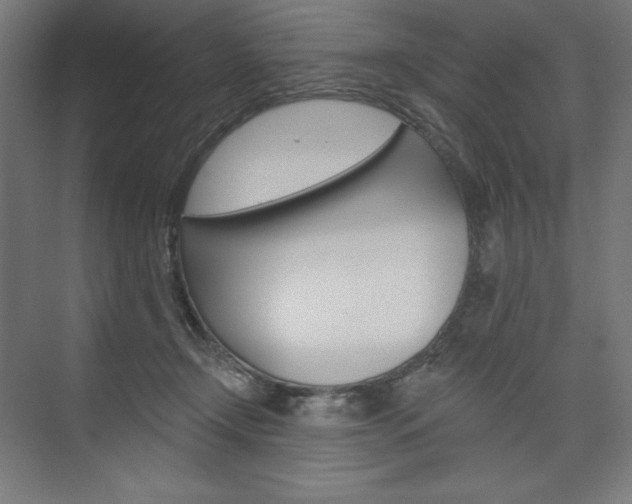 X0000073950366200608210948