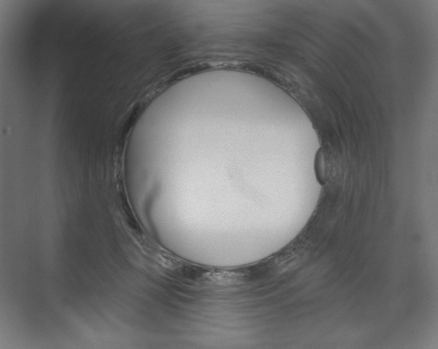 X0000073950367200608210948