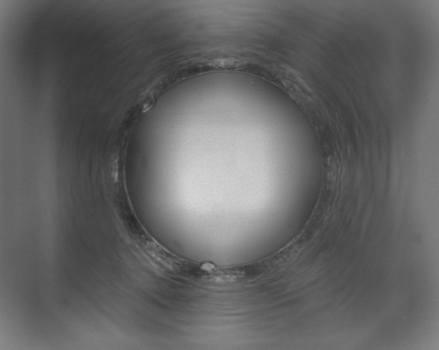 X0000073950368200608210948