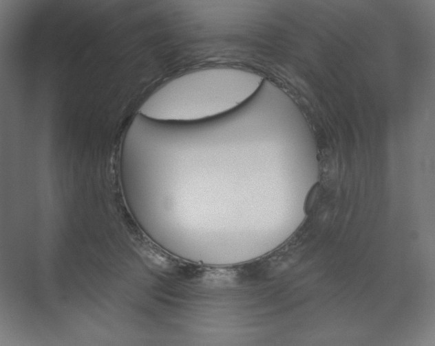 X0000073950369200608210948