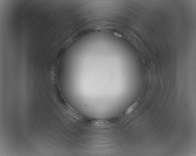 X0000073950372200608210948