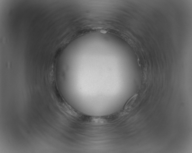 X0000073950376200608210948