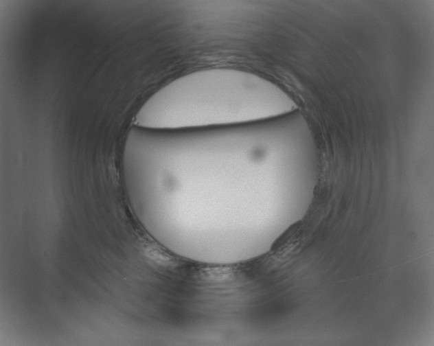 X0000073950377200608210948