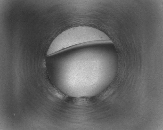 X0000073950384200608210949