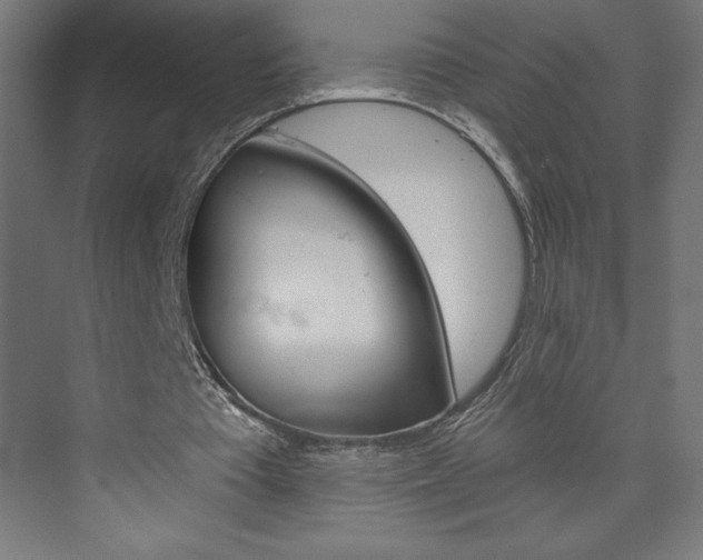 X0000073950385200608210948