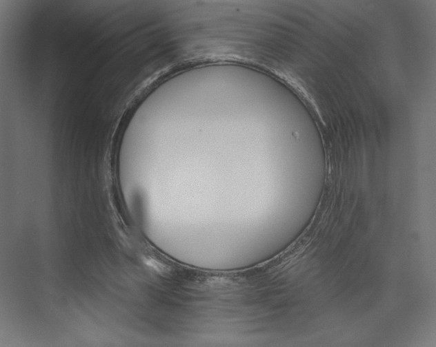 X0000073950390200608210948