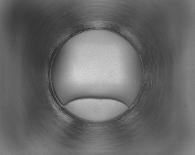 X0000073950394200608210948