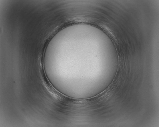 X0000073950398200608210948