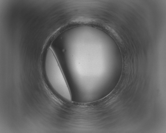 X0000073950399200608210948